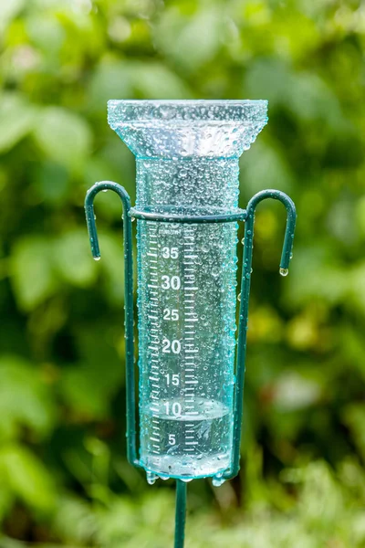 Meteorologi Med Regnmätare Trädgården Efter Regnet Mot Bakgrund Gröna Buskar — Stockfoto