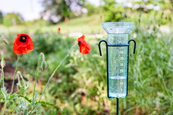 Meteorology Rain Gauge Garden Rain Background Green Fields Red Poppies — Stock Photo, Image