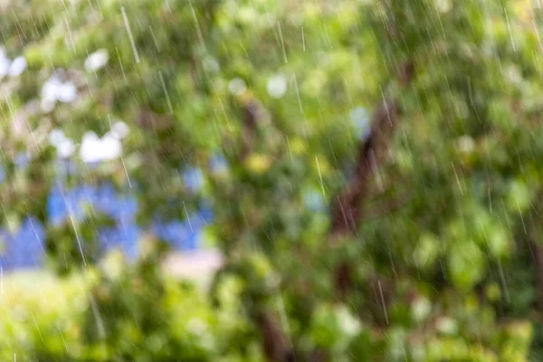 Bulanık Yağmur Damlaları Yeşil Doğa Bulanık Arkaplan — Stok fotoğraf