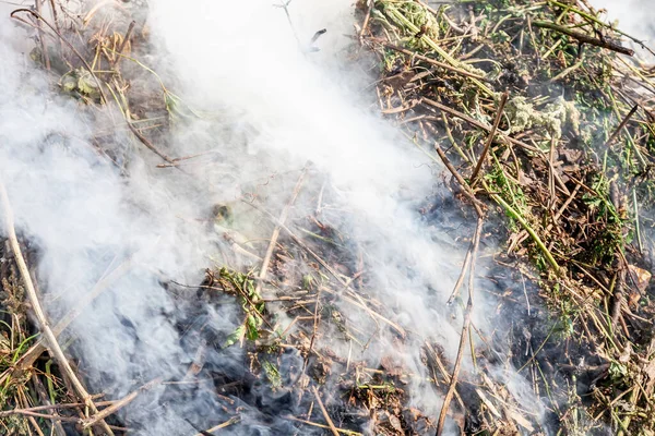 Fogo Prado Fumaça Grossa Agricultores Queimando Grama Seca Contribui Para — Fotografia de Stock