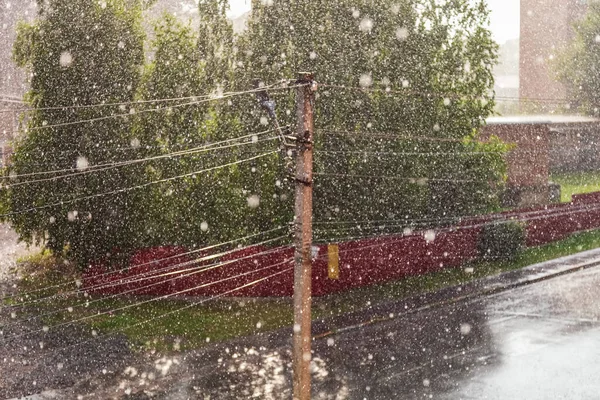 Chuva Pesada Cidade Gotas Chuva Voam Linha Energia Árvores Fundo — Fotografia de Stock