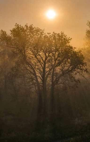 beautiful natural landscape, seasons, time of day