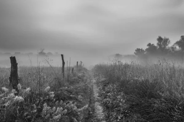 Beautiful Natural Landscapes Seasons Weather — Stock Photo, Image