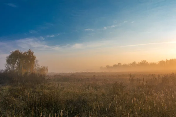 Красивый Природный Ландшафт Времена Года Время Суток — стоковое фото