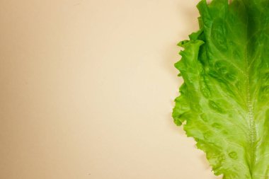 Hafif kahverengi zemin üzerine yeşil marul yaprak görünümü kadar kapatın