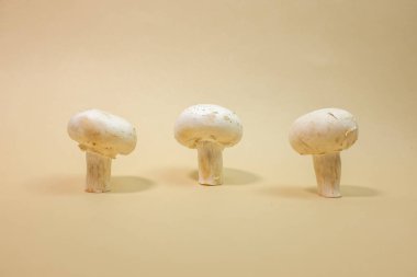Açık kahverengi renkli üzerinde taze Champignon mantar