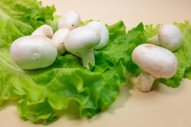 Taze champignon mantar ve yeşil marul yaprakları