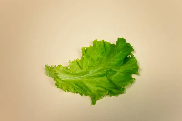 Vista Cerca Hoja Lechuga Verde Sobre Fondo Marrón Claro — Foto de Stock