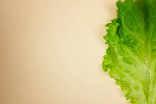 Close Van Groene Sla Blad Lichte Bruine Achtergrond — Stockfoto