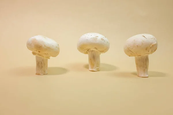 Fresh Champignon mushrooms on light brown background