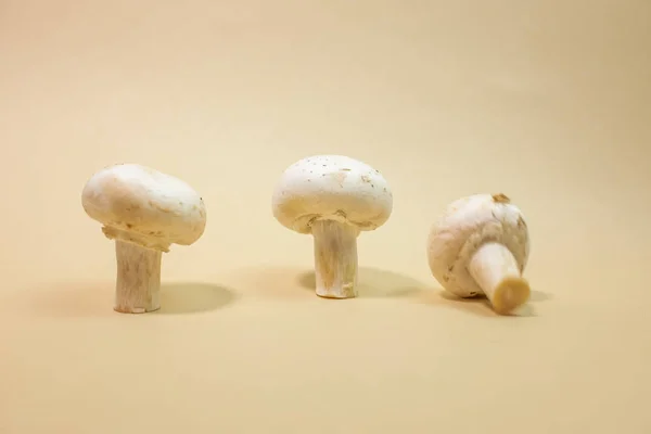 Cogumelos Champignon Frescos Sobre Fundo Castanho Claro — Fotografia de Stock