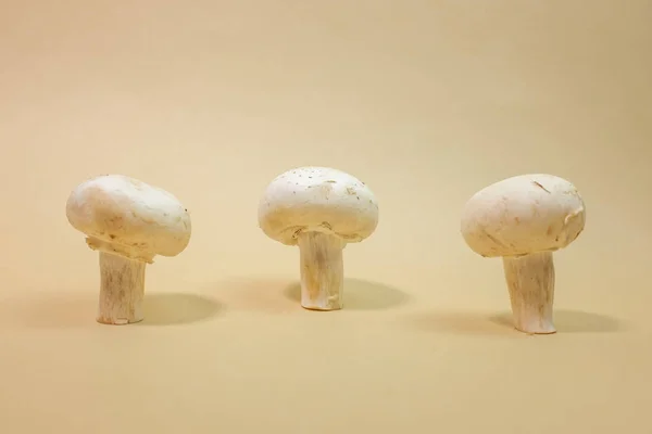 Fresh Champignon mushrooms on light brown background