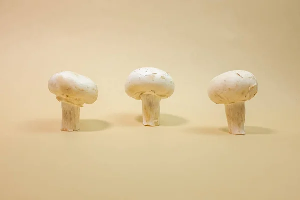 Cogumelos Champignon Frescos Sobre Fundo Castanho Claro — Fotografia de Stock