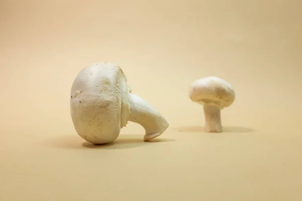 Cogumelos Champignon Frescos Sobre Fundo Castanho Claro — Fotografia de Stock