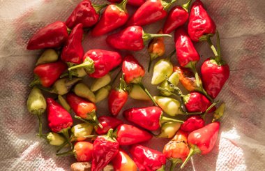 Yığınla kağıt peçete üzerinde olgun biber