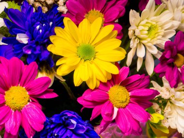 renkli parlak çiçek, buket görünümü kapatın 