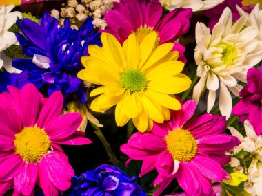 renkli parlak çiçek, buket görünümü kapatın 