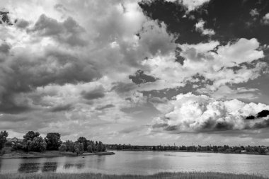 güzel göl kıyısındaki ağaçları ile siyah beyaz resim 