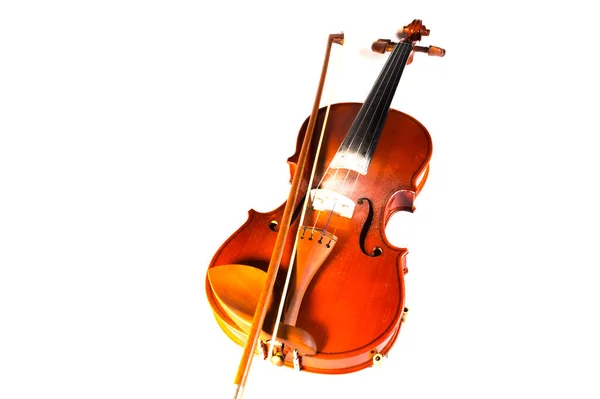 One Brown Violin White Background — Stock Photo, Image