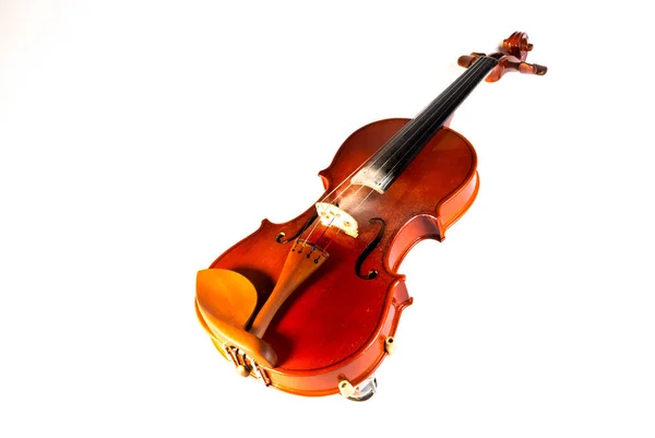 Violino Marrom Fundo Branco — Fotografia de Stock