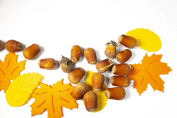 许多干橡木褐色橡子和秋季叶子由纸在白色背景 — 图库照片