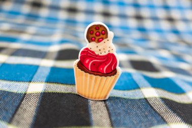 küçük güzel oyuncak tatlı çörek üzerinde damalı battaniye