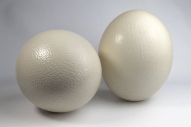 İki beyaz yumurta görünümünü kapat 