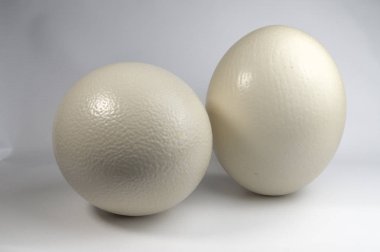 İki beyaz yumurta görünümünü kapat 