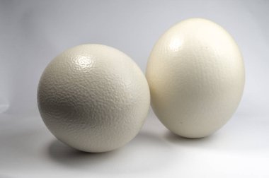 İki beyaz yumurta görünümünü kapat 