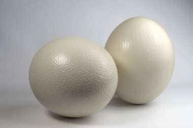 İki beyaz yumurta görünümünü kapat 