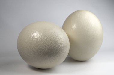 İki beyaz yumurta görünümünü kapat 