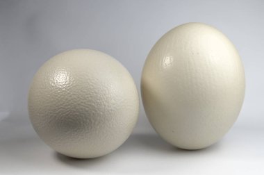 İki beyaz yumurta görünümünü kapat 