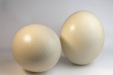 İki beyaz yumurta görünümünü kapat 