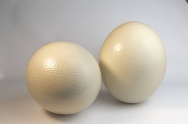 İki beyaz yumurta görünümünü kapat 