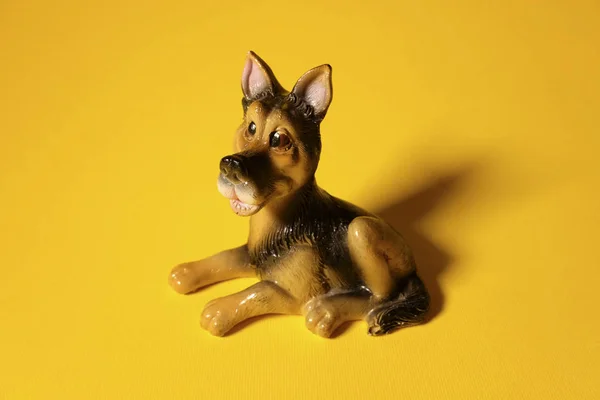 toy dog on a yellow background, little puppy