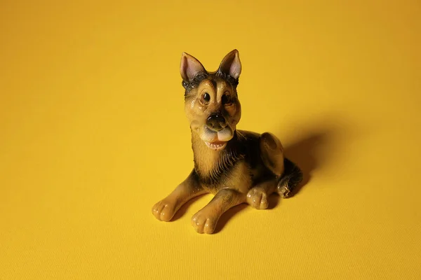 Toy Dog Yellow Background Little Puppy — Stock Photo, Image