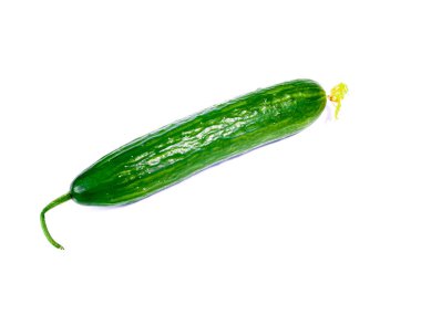 Beyaz zemin üzerine yeşil olgun salatalık