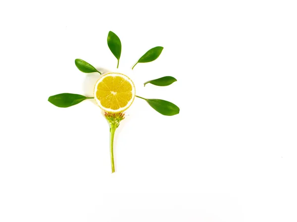 Citron Aux Feuilles Vertes Sur Fond Blanc Tranches Citron — Photo