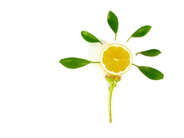 レモン スライス 白地に緑のレモンの葉します — ストック写真