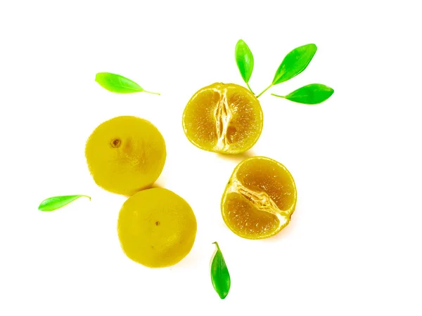 Juicy Citrus Fruits White Background — Stock Photo, Image