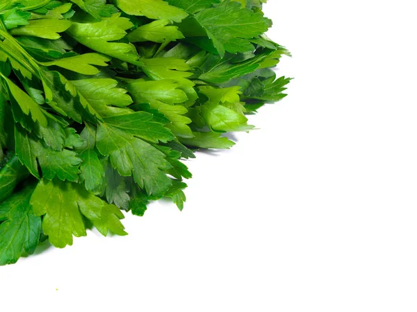 Close View Fresh Bunch Parsley Isolated White Background — Stock Photo, Image