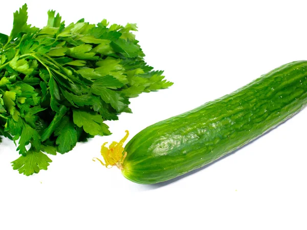 Bunch Parsley Green Cucumber Isolated White Background — Stock Photo, Image