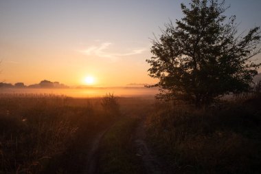 Sis ile tarım alanı üzerinde güzel gün batımı