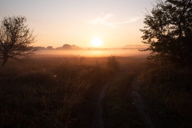 Sis ile tarım alanı üzerinde güzel gün batımı