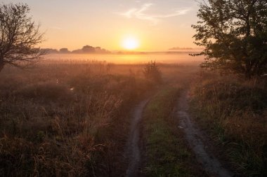 Sis ile tarım alanı üzerinde güzel gün batımı