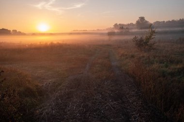 Sis ile tarım alanı üzerinde güzel gün batımı