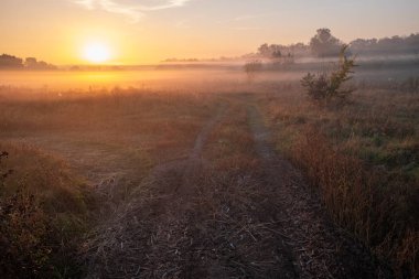 Sis ile tarım alanı üzerinde güzel gün batımı