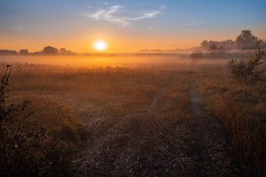Sis ile tarım alanı üzerinde güzel gün batımı