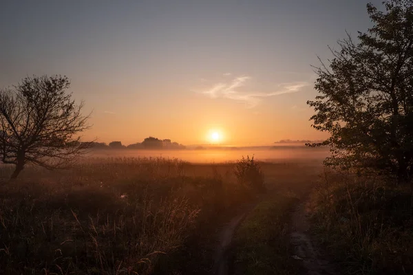 Beau Coucher Soleil Sur Champ Agricole Avec Brume — Photo