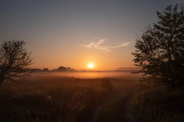 Красивый Закат Над Сельскохозяйственным Полем Туманом — стоковое фото